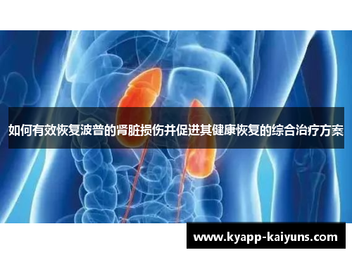 如何有效恢复波普的肾脏损伤并促进其健康恢复的综合治疗方案