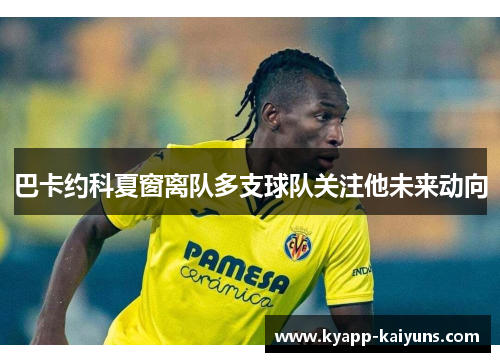 巴卡约科夏窗离队多支球队关注他未来动向
