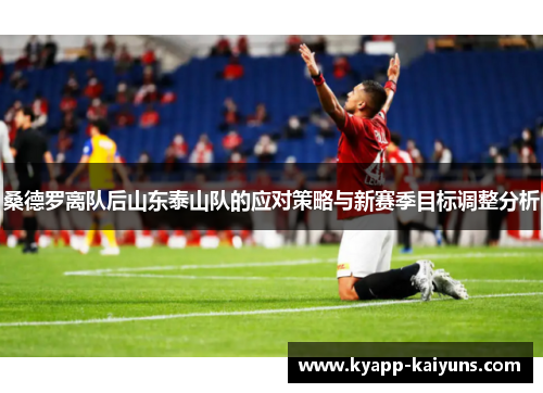 桑德罗离队后山东泰山队的应对策略与新赛季目标调整分析